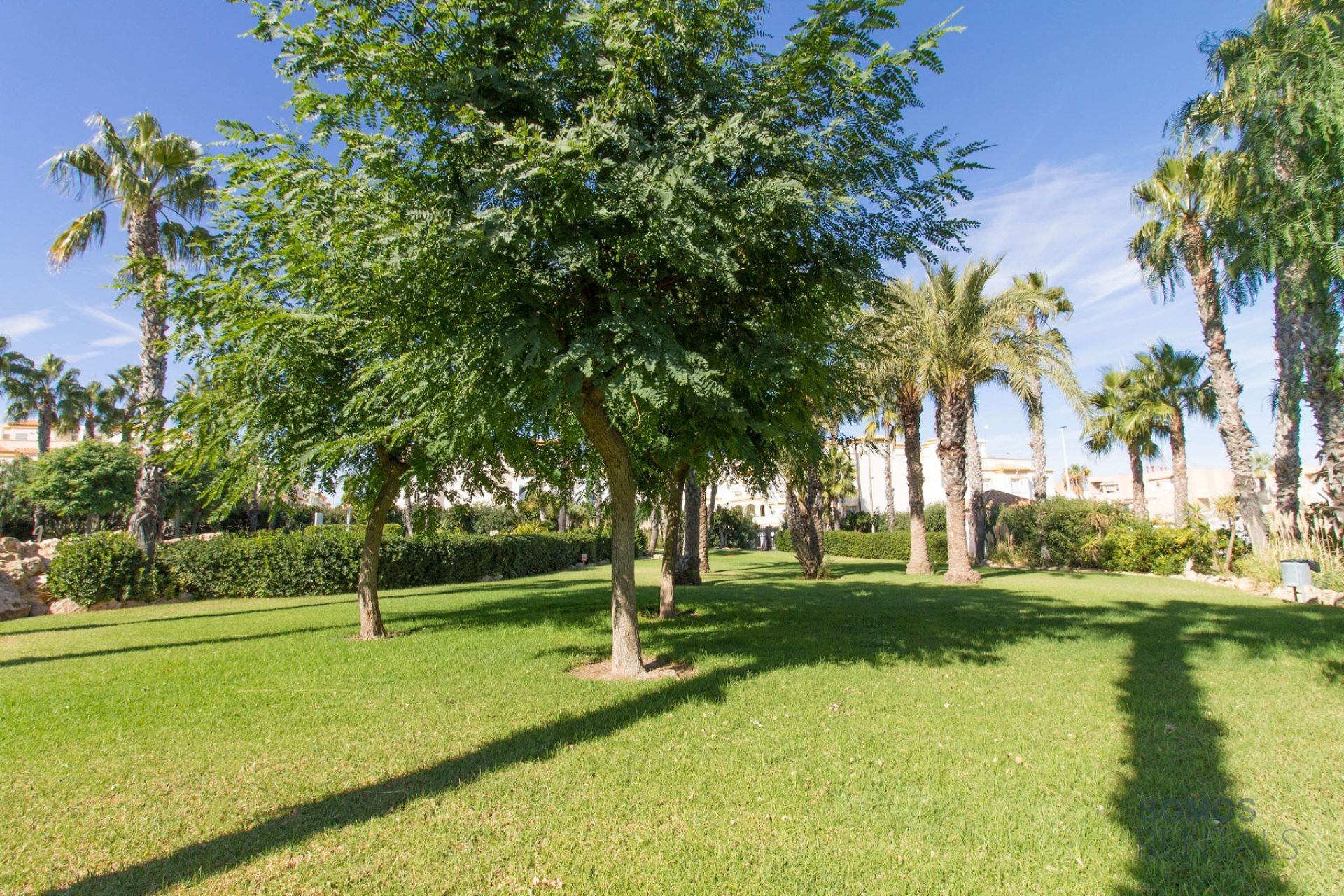Casa Tropical - Gran Alacant photograph 31
