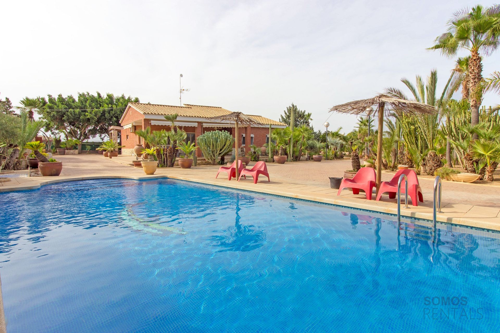 Villa Cactuario - El Altet photograph 1