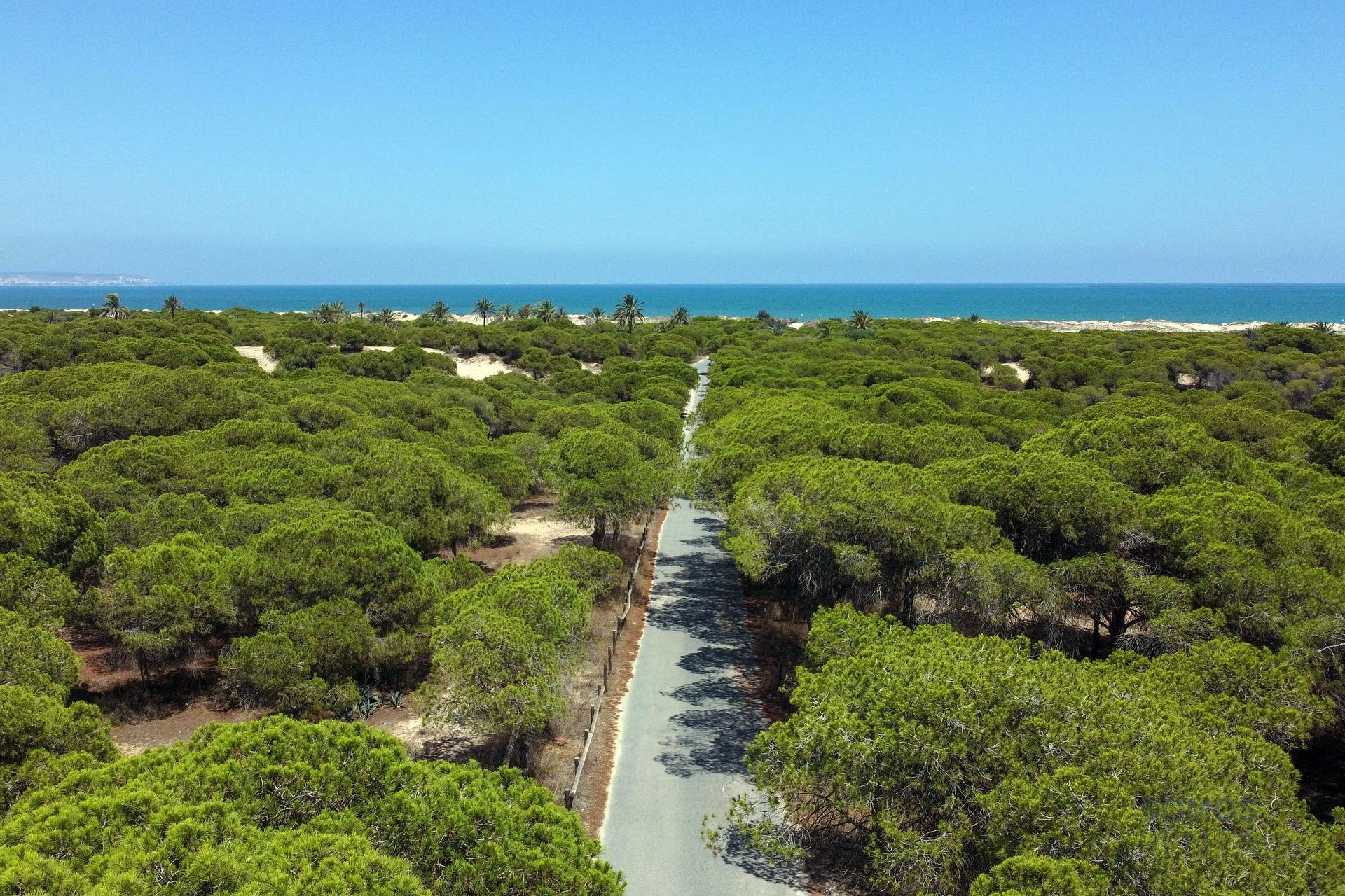 Casa Arturo, Urb La Marina — Foto 43