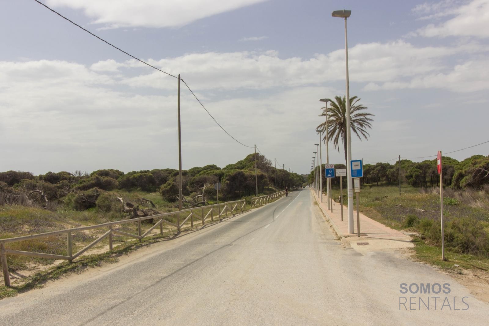 Villa Pedro, Urb La Marina — fotografía 64