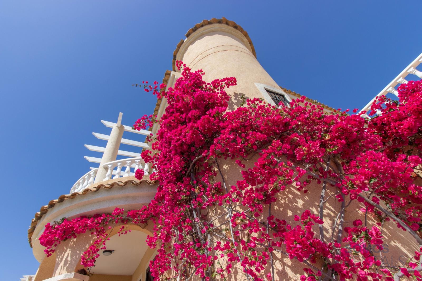 Villa Pedro, Urb La Marina — fotografía 21