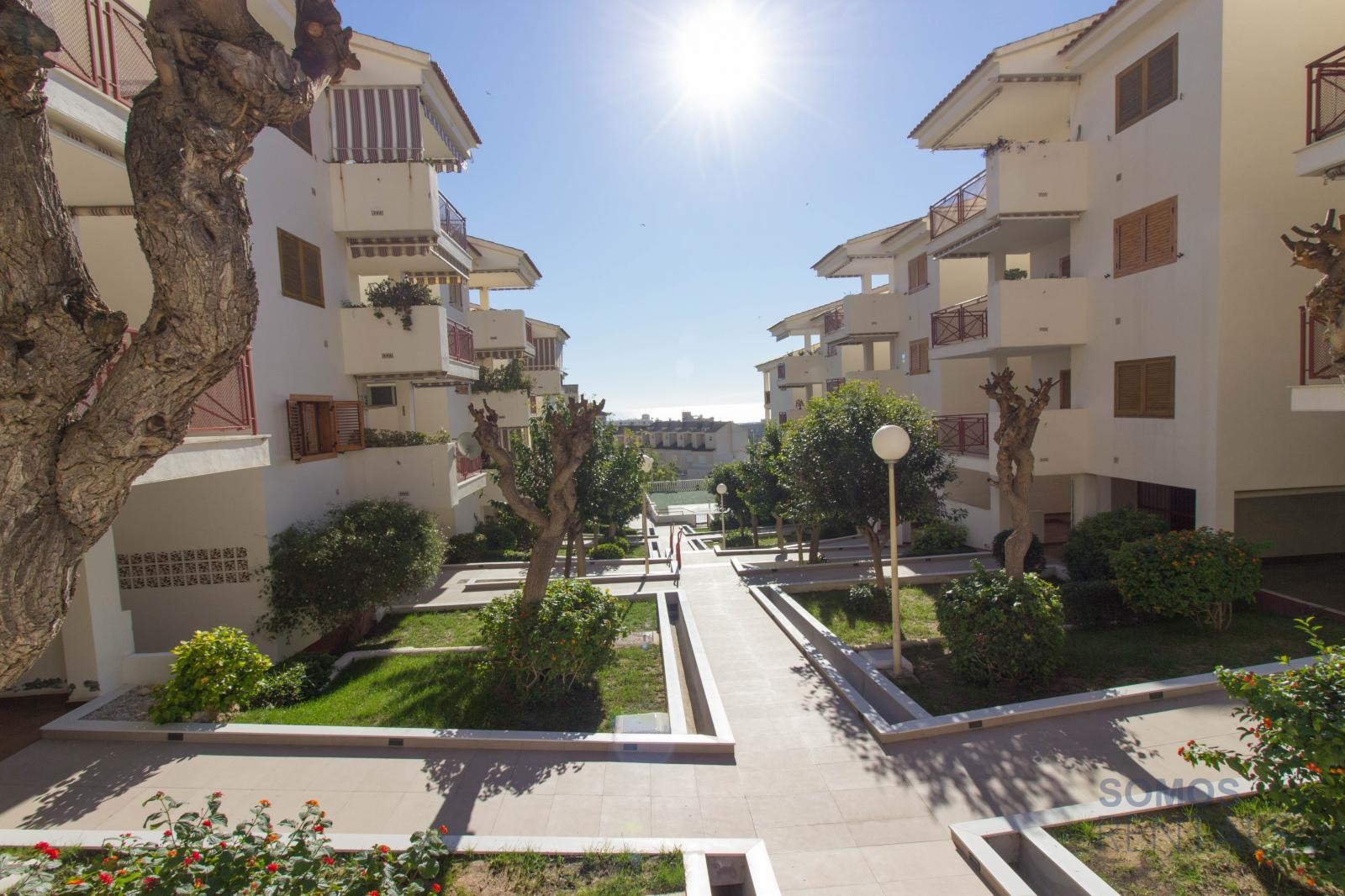 Apartamento Malaga, Santa Pola — fotografía 34