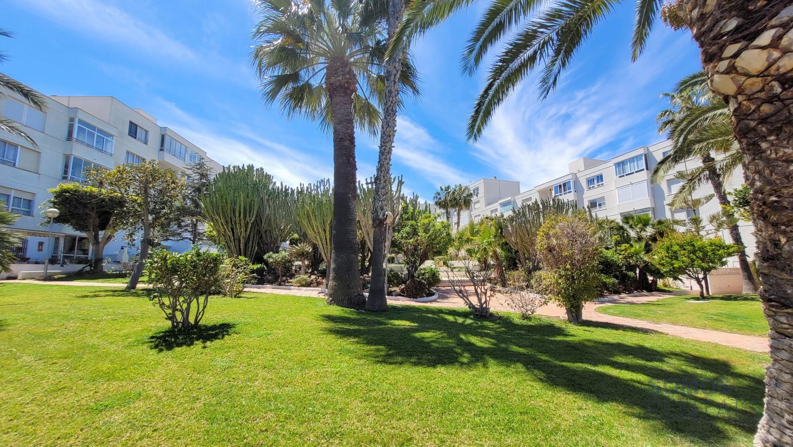 Apartamento Panorama - Gran Alacant photograph 46